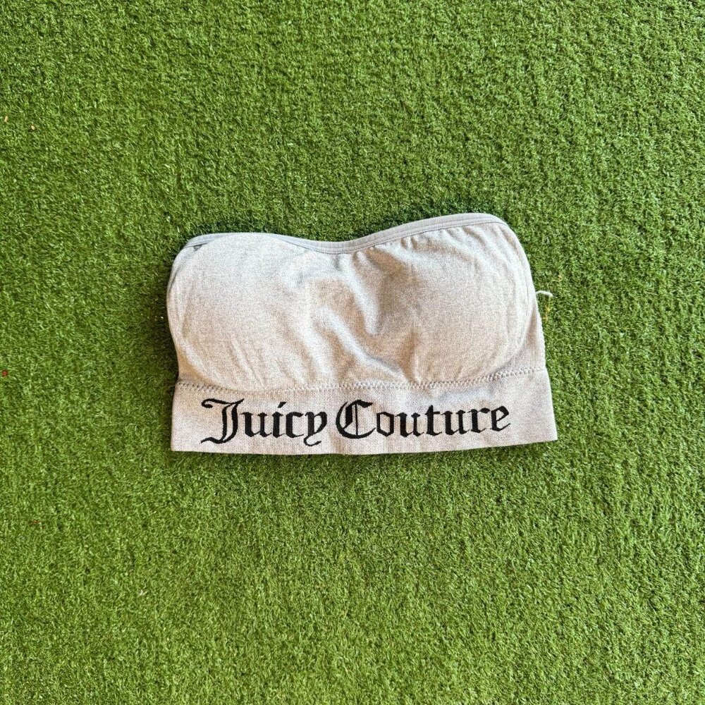 Juicy Couture Gray Bandeau Top
